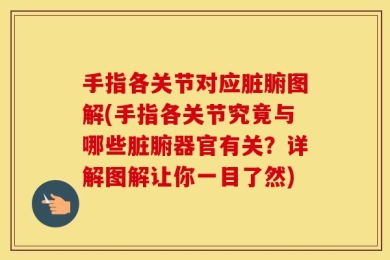 手指各关节对应脏腑图解(手指各关节究竟与哪些脏腑器官有关？详解图解让你一目了然)