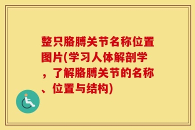 整只胳膊关节名称位置图片(学习人体解剖学，了解胳膊关节的名称、位置与结构)