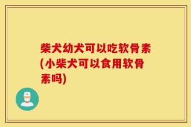 柴犬幼犬可以吃软骨素(小柴犬可以食用软骨素吗)
