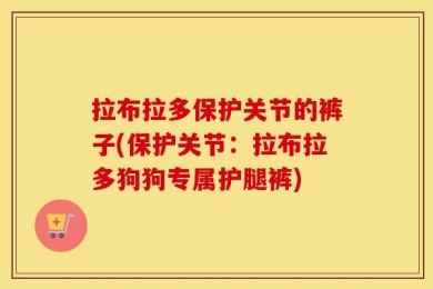 拉布拉多保护关节的裤子(保护关节：拉布拉多狗狗专属护腿裤)