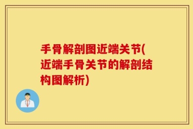 手骨解剖图近端关节(近端手骨关节的解剖结构图解析)