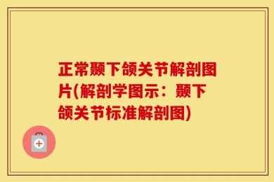 正常颞下颌关节解剖图片(解剖学图示：颞下颌关节标准解剖图)