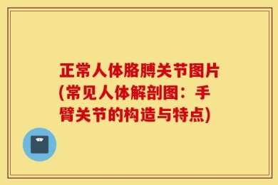 正常人体胳膊关节图片(常见人体解剖图：手臂关节的构造与特点)