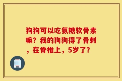 狗狗可以吃氨糖软骨素嘛？我的狗狗得了骨刺，在脊椎上，5岁了？