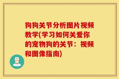 狗狗关节分析图片视频教学(学习如何关爱你的宠物狗的关节：视频和图像指南)