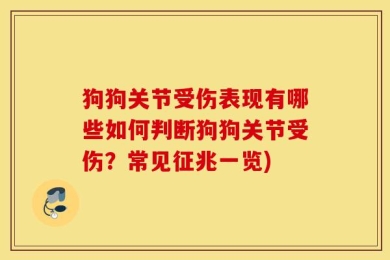 狗狗关节受伤表现有哪些如何判断狗狗关节受伤？常见征兆一览)