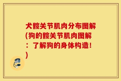 犬髋关节肌肉分布图解(狗的髋关节肌肉图解：了解狗的身体构造！)