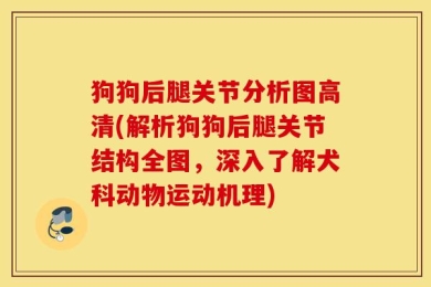 狗狗后腿关节分析图高清(解析狗狗后腿关节结构全图，深入了解犬科动物运动机理)