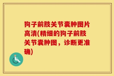 狗子前肢关节囊肿图片高清(精细的狗子前肢关节囊肿图，诊断更准确)
