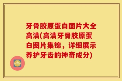 牙骨胶原蛋白图片大全高清(高清牙骨胶原蛋白图片集锦，详细展示养护牙齿的神奇成分)