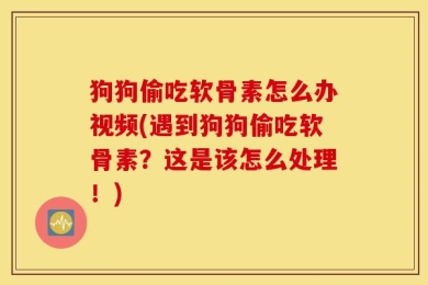 狗狗偷吃软骨素怎么办视频(遇到狗狗偷吃软骨素？这是该怎么处理！)