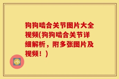 狗狗啮合关节图片大全视频(狗狗啮合关节详细解析，附多张图片及视频！)