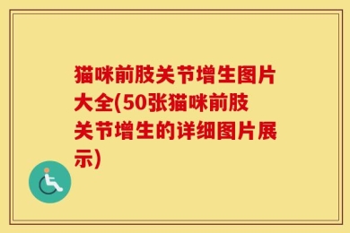 猫咪前肢关节增生图片大全(50张猫咪前肢关节增生的详细图片展示)
