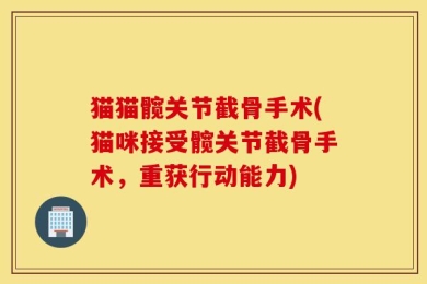 猫猫髋关节截骨手术(猫咪接受髋关节截骨手术，重获行动能力)