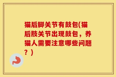 猫后脚关节有鼓包(猫后肢关节出现鼓包，养猫人需要注意哪些问题？)