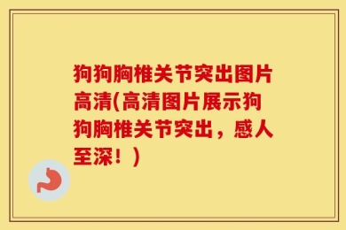 狗狗胸椎关节突出图片高清(高清图片展示狗狗胸椎关节突出，感人至深！)