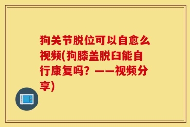 狗关节脱位可以自愈么视频(狗膝盖脱臼能自行康复吗？——视频分享)