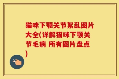 猫咪下颚关节絮乱图片大全(详解猫咪下颚关节毛病 所有图片盘点)