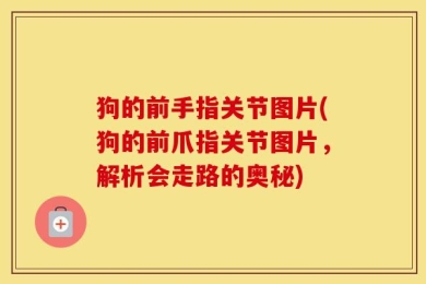狗的前手指关节图片(狗的前爪指关节图片，解析会走路的奥秘)