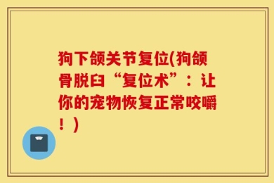狗下颌关节复位(狗颌骨脱臼“复位术”：让你的宠物恢复正常咬嚼！)