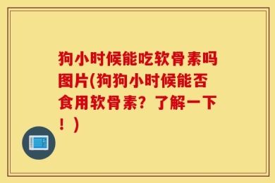 狗小时候能吃软骨素吗图片(狗狗小时候能否食用软骨素？了解一下！)