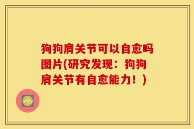 狗狗肩关节可以自愈吗图片(研究发现：狗狗肩关节有自愈能力！)