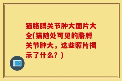 猫胳膊关节肿大图片大全(猫随处可见的胳膊关节肿大，这些照片揭示了什么？)