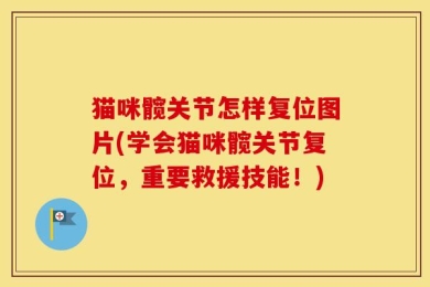 猫咪髋关节怎样复位图片(学会猫咪髋关节复位，重要救援技能！)