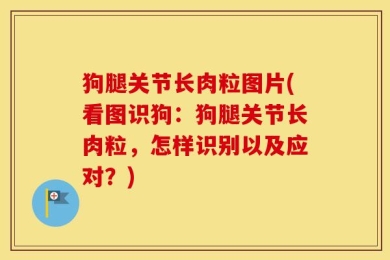 狗腿关节长肉粒图片(看图识狗：狗腿关节长肉粒，怎样识别以及应对？)