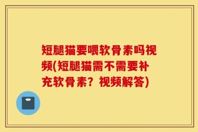 短腿猫要喂软骨素吗视频(短腿猫需不需要补充软骨素？视频解答)