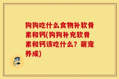狗狗吃什么食物补软骨素和钙(狗狗补充软骨素和钙该吃什么？萌宠养成)