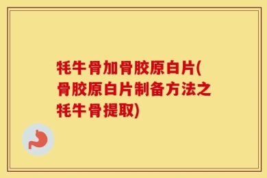 牦牛骨加骨胶原白片(骨胶原白片制备方法之牦牛骨提取)
