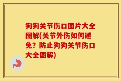 狗狗关节伤口图片大全图解(关节外伤如何避免？防止狗狗关节伤口大全图解)