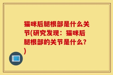猫咪后腿根部是什么关节(研究发现：猫咪后腿根部的关节是什么？)