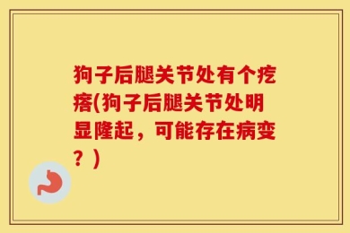 狗子后腿关节处有个疙瘩(狗子后腿关节处明显隆起，可能存在病变？)