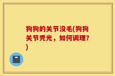 狗狗的关节没毛(狗狗关节秃光，如何调理？)