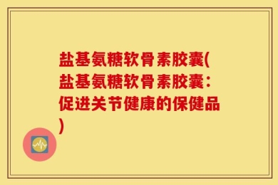 盐基氨糖软骨素胶囊(盐基氨糖软骨素胶囊：促进关节健康的保健品)