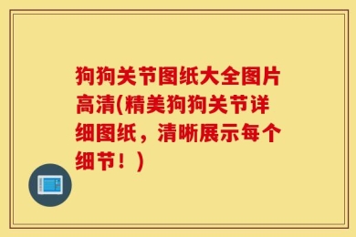 狗狗关节图纸大全图片高清(精美狗狗关节详细图纸，清晰展示每个细节！)
