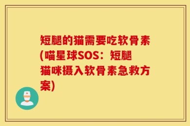 短腿的猫需要吃软骨素(喵星球SOS：短腿猫咪摄入软骨素急救方案)