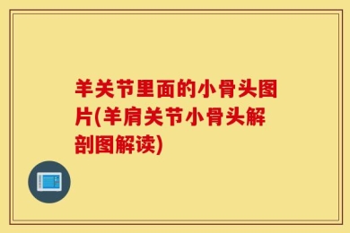 羊关节里面的小骨头图片(羊肩关节小骨头解剖图解读)
