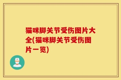猫咪脚关节受伤图片大全(猫咪脚关节受伤图片一览)