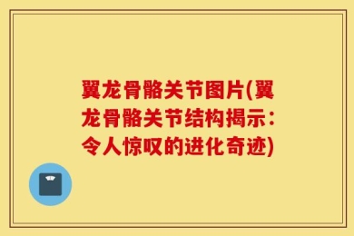 翼龙骨骼关节图片(翼龙骨骼关节结构揭示：令人惊叹的进化奇迹)