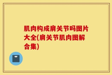 肌肉构成肩关节吗图片大全(肩关节肌肉图解合集)