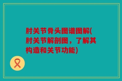 肘关节骨头图谱图解(肘关节解剖图，了解其构造和关节功能)