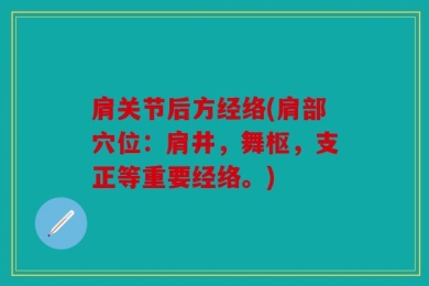 肩关节后方经络(肩部穴位：肩井，舞枢，支正等重要经络。)
