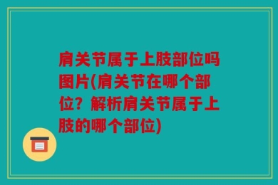 肩关节属于上肢部位吗图片(肩关节在哪个部位？解析肩关节属于上肢的哪个部位)