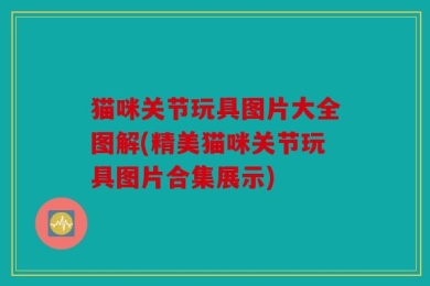 猫咪关节玩具图片大全图解(精美猫咪关节玩具图片合集展示)