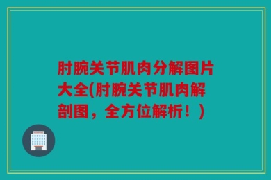 肘腕关节肌肉分解图片大全(肘腕关节肌肉解剖图，全方位解析！)