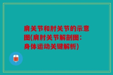 肩关节和肘关节的示意图(肩肘关节解剖图：身体运动关键解析)