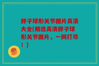 脖子球形关节图片高清大全(精选高清脖子球形关节图片，一网打尽！)